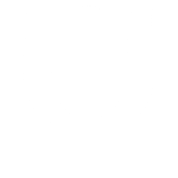 Ultrasapien Network Icon